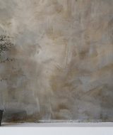 plant-stucco-wall-background-zoom-calls